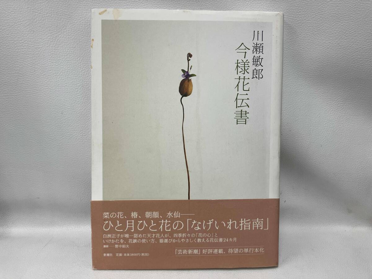 川瀬敏郎・花に習う(川瀬敏郎 著) / 古本、中古本、古書籍の通販
