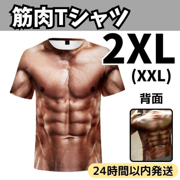 ★送料無料 匿名 即日発送★ 筋肉 Tシャツ マッチョ 筋トレ パーティー おもしろ コスプレ ジョーク グッズ 卒業 入学 式 歓迎 会 宴会 3L