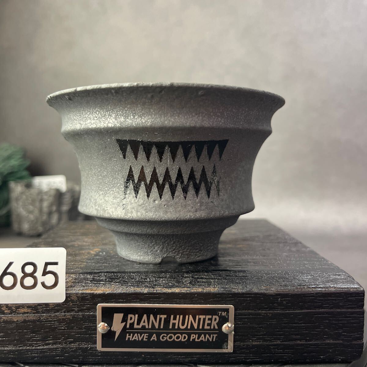 2025年最新】Yahoo!オークション -塊根植物 鉢の中古品・新品
