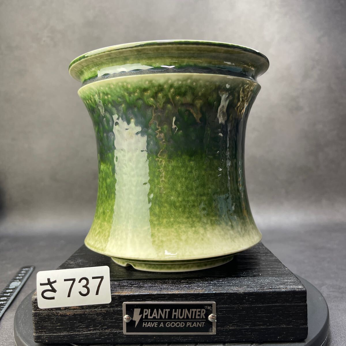陶器鉢 植木鉢 底穴ありフォレスト（緑）白黒M φ9cm 日本製 園芸