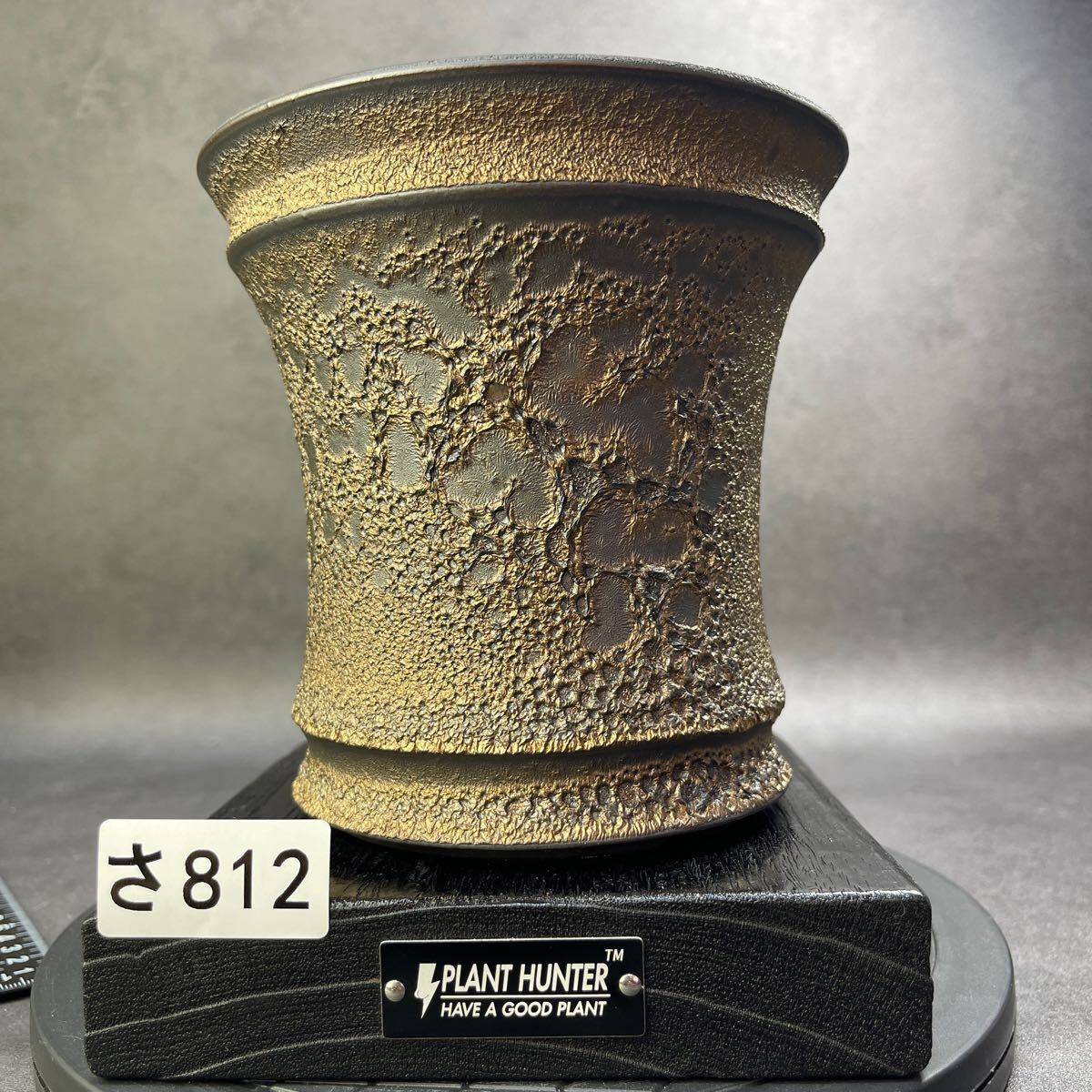 2025年最新】Yahoo!オークション -塊根植物 鉢の中古品・新品