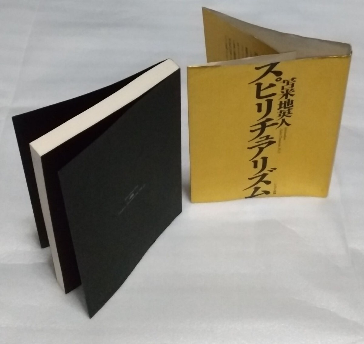 【貴重：廃版】ユングとスピリチュアリズム【専門書】 51HT5rxYOeL._AC_SY200_QL15_.jpg