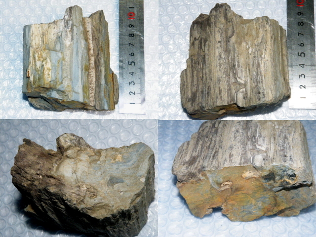 鑑賞石 天然石 木化石 梅化石など 置物 12点まとめて C R6254C