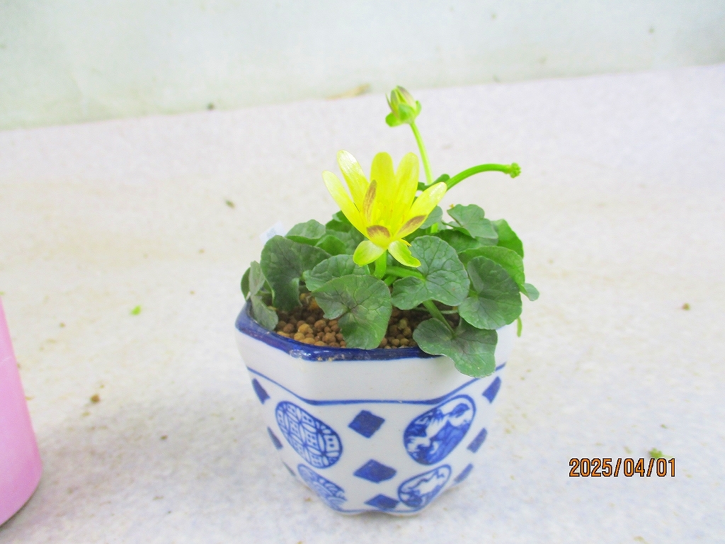 傘 ポンタ カワサキ ニンジャ ZX-9R 1994 年 - 日本バイク100年史