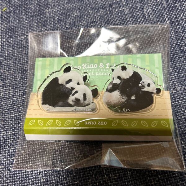上野動物園 双子パンダ 暁暁&蕾蕾(シャオシャオ&レイレイ) アクリルクリップ