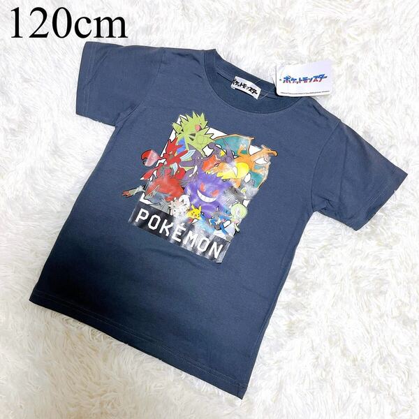 トップス/Tシャツ/半袖/グレー/新品/ポケモン/ゲンガー/ルカリオ/サーナイト/リザードン/ガブリアス/レントラー/ハッサム/男の子/120cm