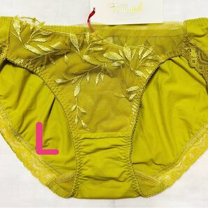 トリンプ プレミアムTriumph Premium ショーツL 黄緑