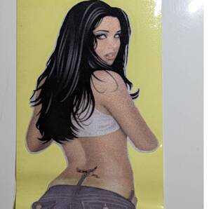 匿名送料無料 SK12-091 特価 美人 ジーンズ 黒髪 タトゥー SEXY!! キラキラ セクシーステッカー レトロ ギター ボード デカール