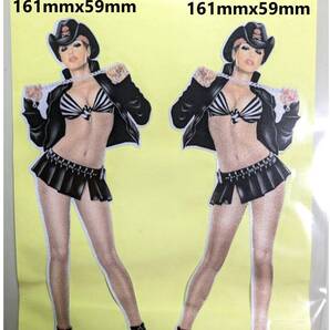 2枚 匿名送料無料 SK12-23 特価 美人 黒ゼブラ柄 ドクロ SEXY!! キラキラ セクシーステッカー レトロ ギター ボード デカール