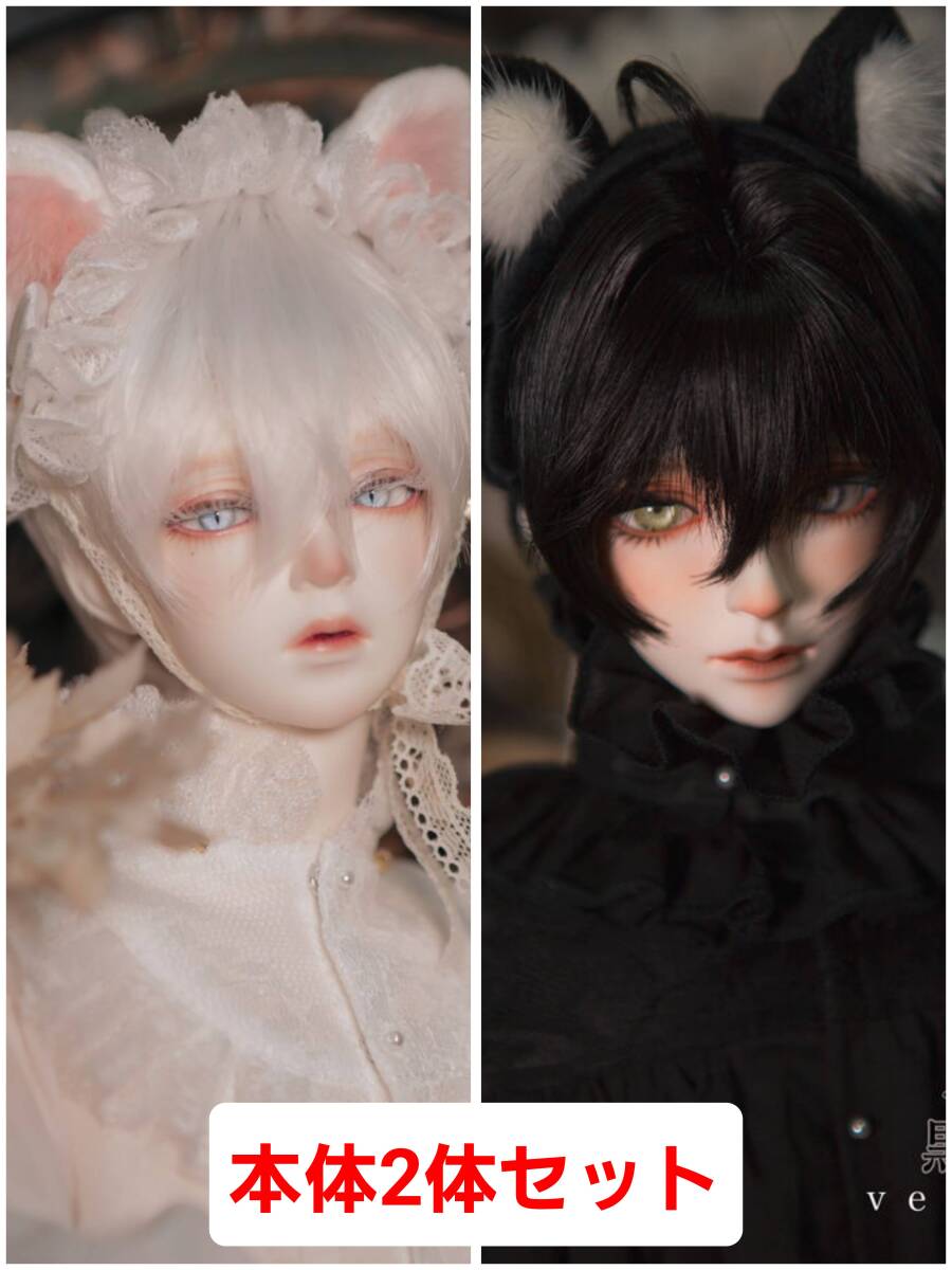2025年最新】Yahoo!オークション -dolk(人形、キャラクター 2025年最新】Yahoo!オークション -dolk(人形、キャラクター
