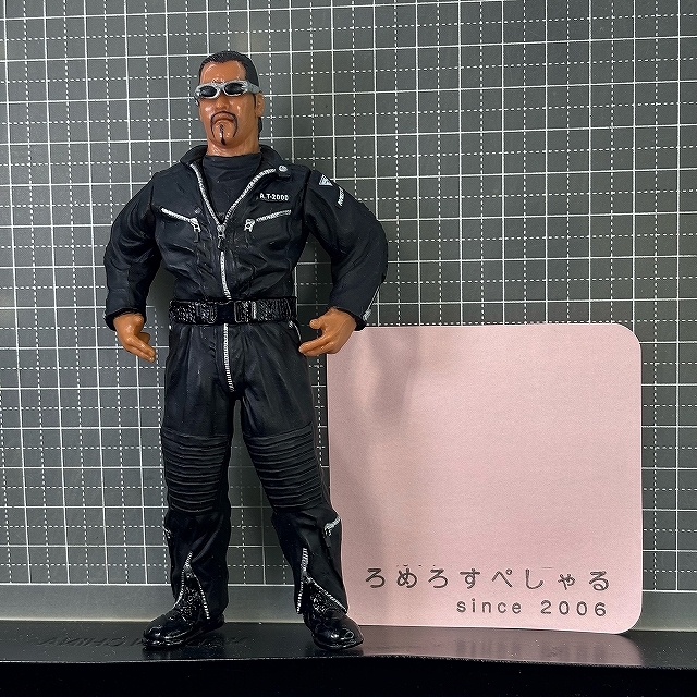 2025年最新】Yahoo!オークション -team 2000 蝶野の中古品・新品