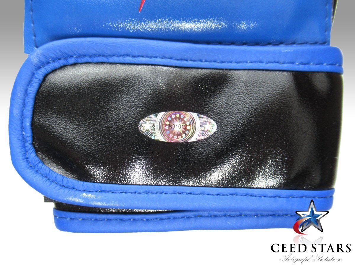 ヴァンダレイ・シウバ  プライド  直筆サイン入りステッカー 2025年最新】ヴァンダレイシウバの人気アイテム - メルカリ