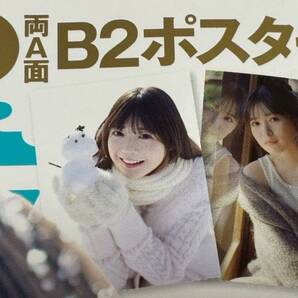 週刊プレイボーイ no.15 付録 乃木坂46 冨里奈央・小川彩 両面B2ポスター