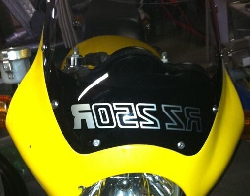 RZ250RR 純正カウルセット サイドカバー、ヘッドライト