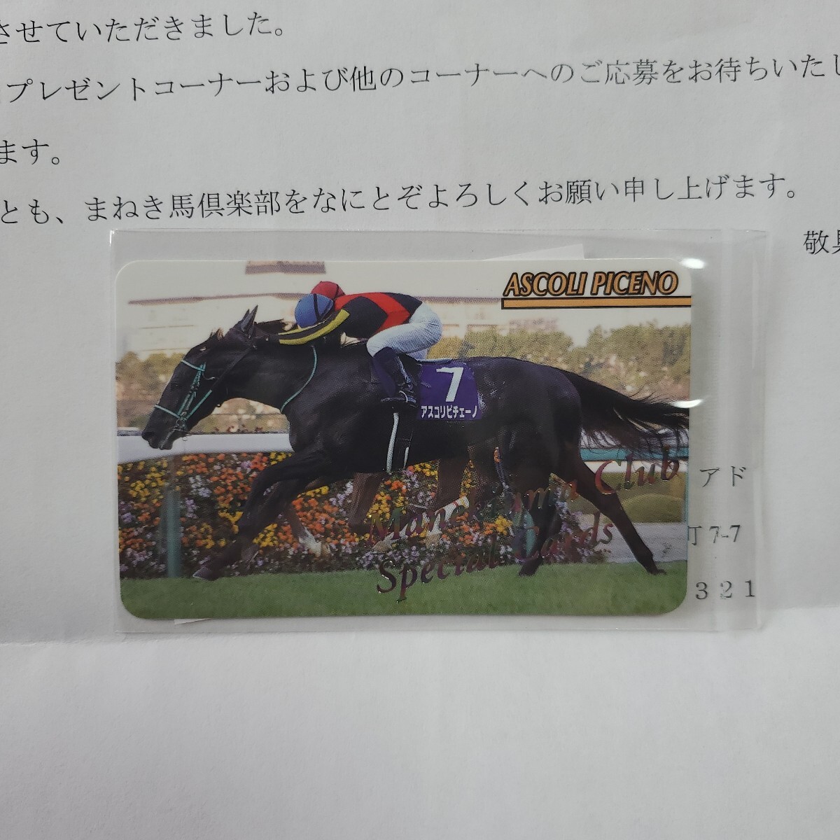 2025年最新】Yahoo!オークション -レインボーカード まねき馬の 2025年最新】Yahoo!オークション -レインボーカード まねき馬の