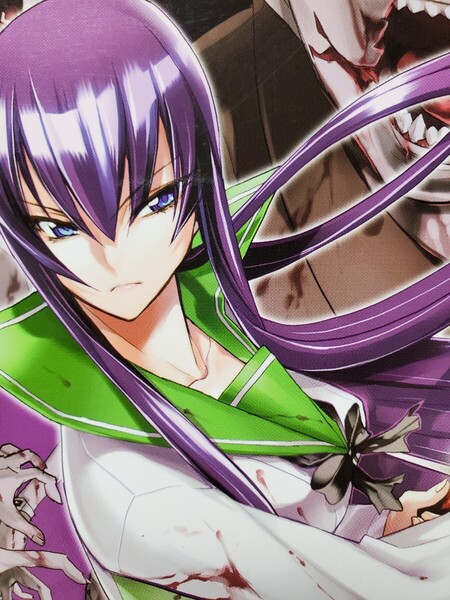 学園黙示録 HIGHSCHOOL OF THE DEAD 2 ハイスクールオブザデッド