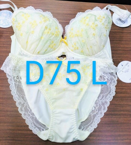 ブラジャー ショーツセット D75 L