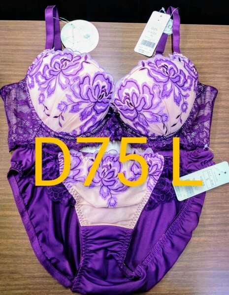 ブラジャーショーツセット D75 L