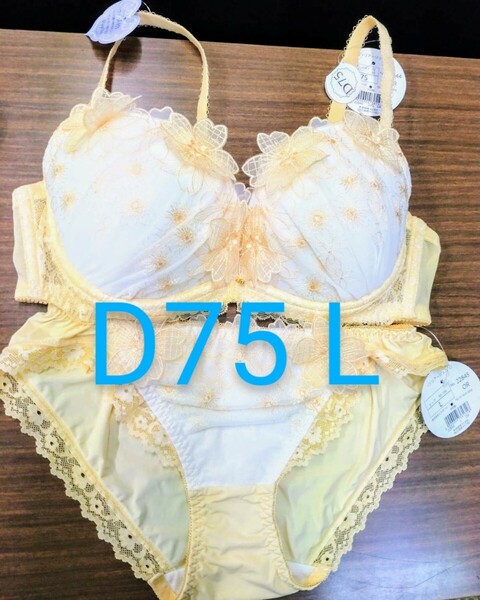 ブラジャーショーツセット D75 L