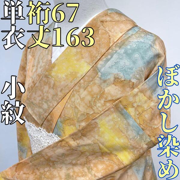 【着物と帯 時流】ヒ24◆単衣 正絹 小紋◆美品 ぼかし染 裄67丈163