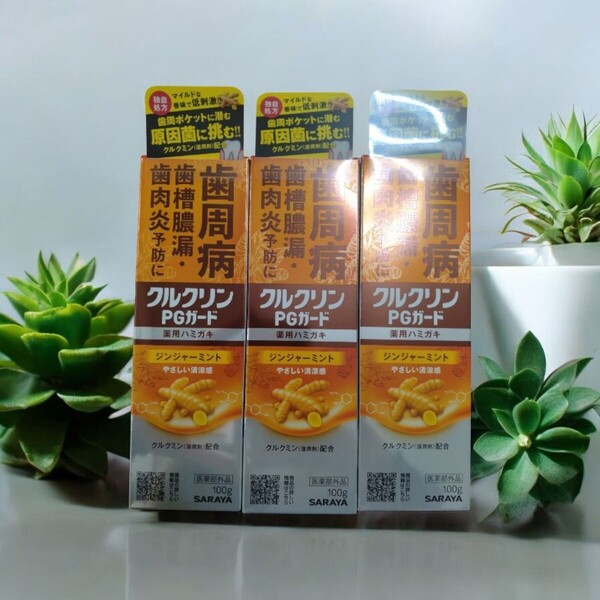 サラヤ クルクリンPGガード 薬用ハミガキ 医薬部外品 100g×3個