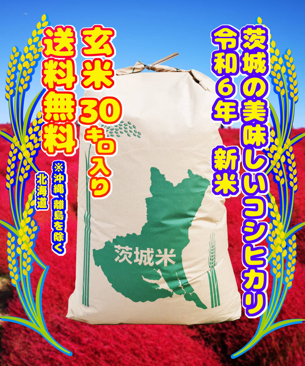 Yahoo!オークション -「コシヒカリ 30kg」の落札相場・落札価格 Yahoo!オークション -「コシヒカリ 30kg」の落札相場・落札価格