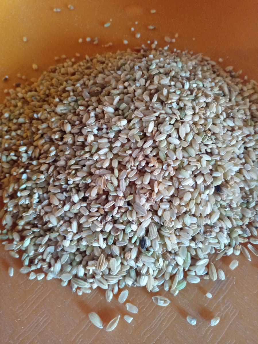 砕米 20kg 小粒 鳥の餌 飼料 えさ エサ くず米 お得 安い お米の