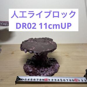 人工ライブロック DR02 11cmUPアク抜き済み安心塗料使用