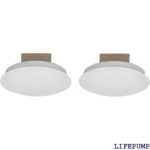 スワン電器 薄型LEDミニシーリングライト 昼白色相当 2個セット 日本製 YCE-550 11077