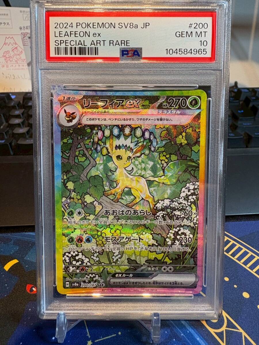Yahoo!オークション -「リーフィア sar psa10」の落札相場・落札価格 Yahoo!オークション -「リーフィア sar psa10」の落札相場・落札価格