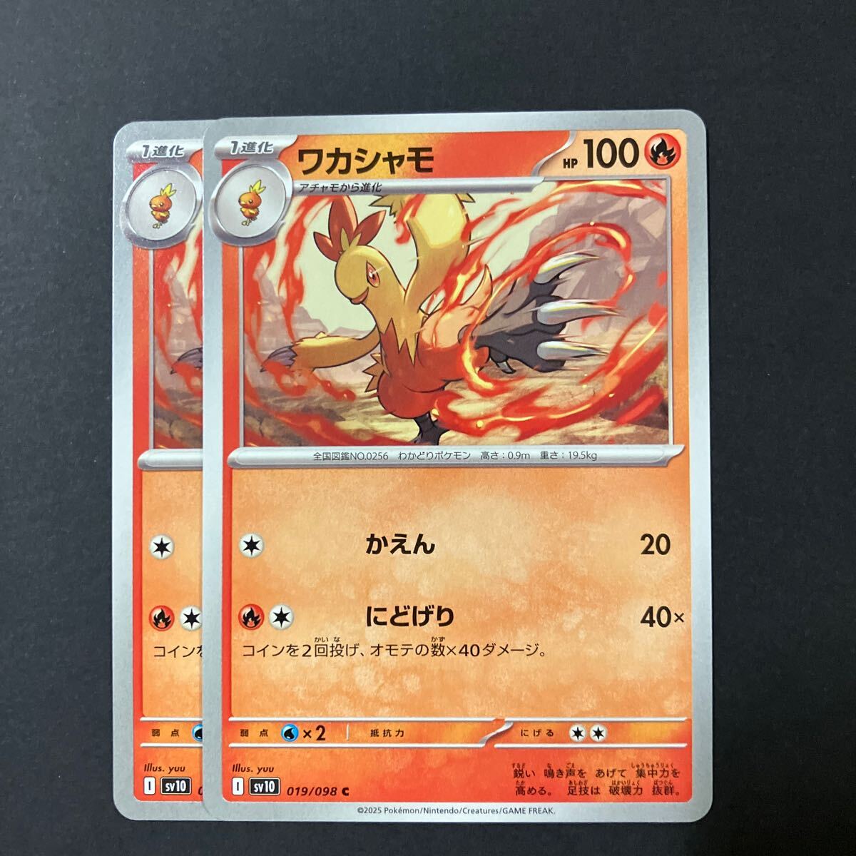 Yahoo!オークション -「ポケモンカード ロケット団 パック」の Yahoo!オークション -「ポケモンカード ロケット団 パック」の