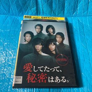 愛したって、秘密はある 特別版 レンタル落ち