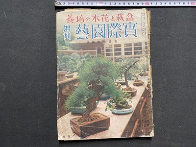2025年最新】Yahoo!オークション -盆栽(本、雑誌)の中古品・新品 2025年最新】Yahoo!オークション -盆栽(本、雑誌)の中古品・新品