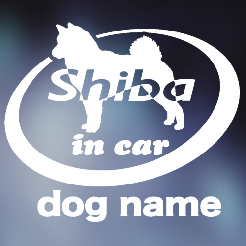 柴犬 in car ステッカー。犬ステッカー