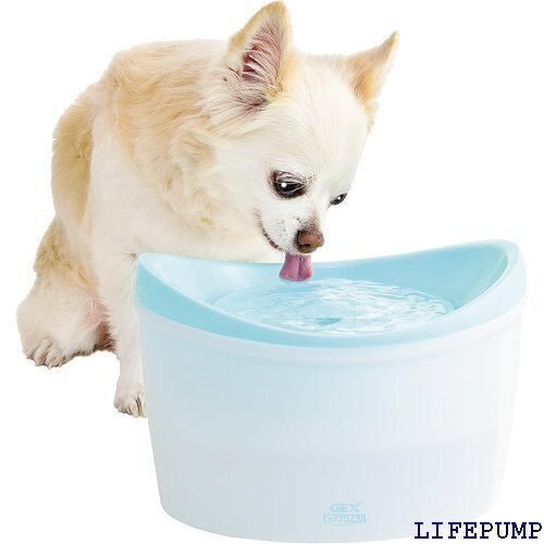 在庫限り/メーカー終売 ジェックス ピュアクリスタル ブルーム 1.8L 犬用 15655
