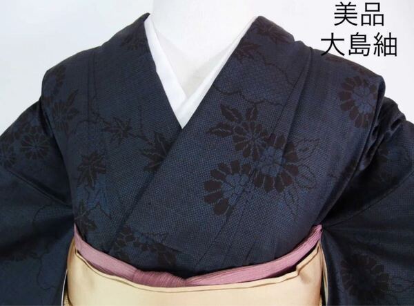 未使用 大島紬 一元式 7マルキ 雲取りに菊文様 系 藍色系