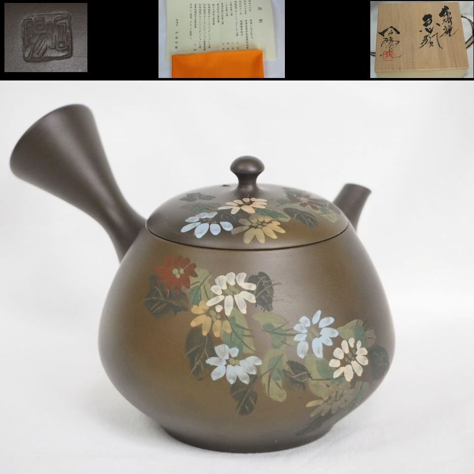 煎茶道具 常滑焼 紅映造 組作り 急須 共箱 M R6522