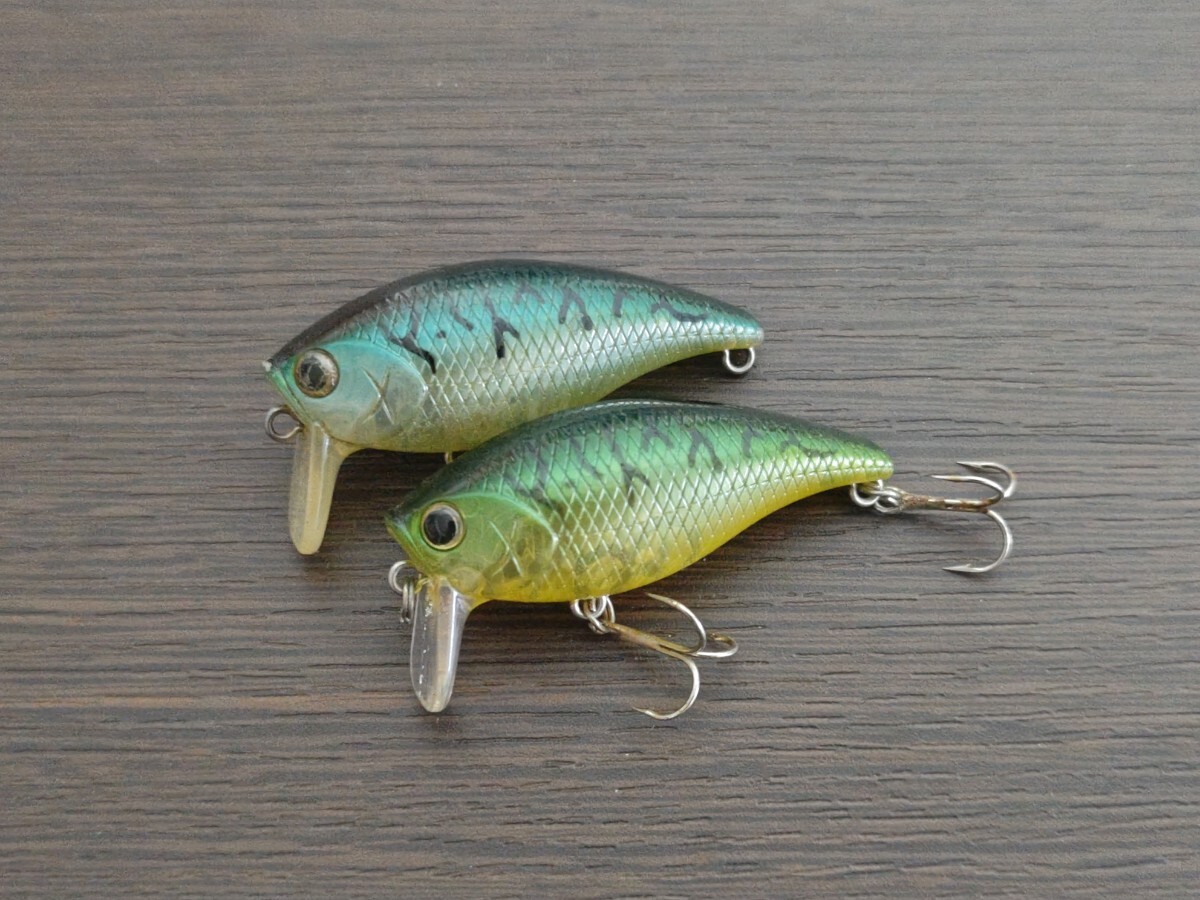 Yahoo!オークション -「(エバーグリーン evergreen) (限定 非買