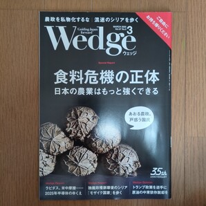 Wedge 2025年3月号