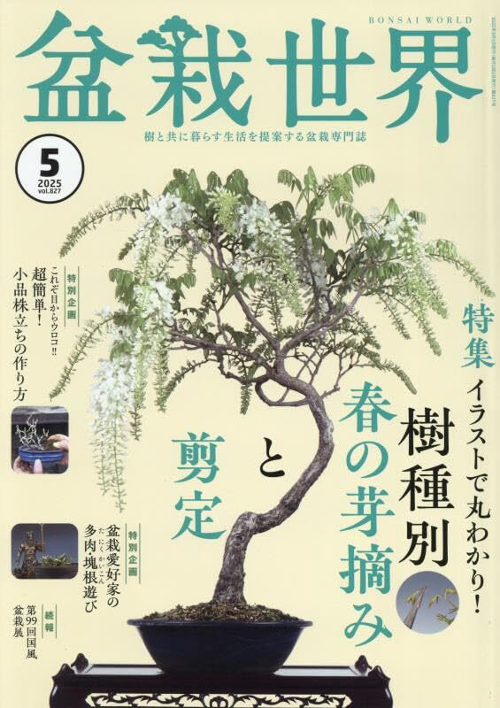 2025年最新】Yahoo!オークション -盆栽(本、雑誌)の中古品・新品 2025年最新】Yahoo!オークション -盆栽(本、雑誌)の中古品・新品