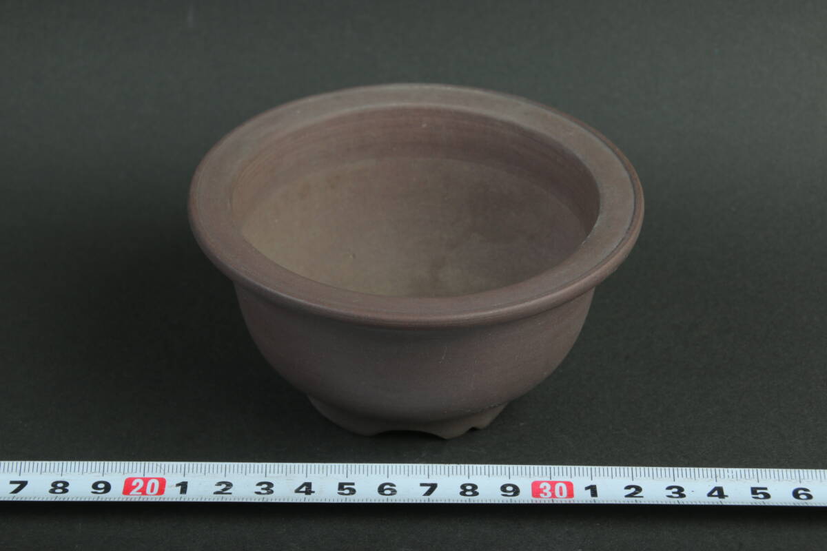 2025年最新】Yahoo!オークション -盆栽鉢 山秋の中古品・新品