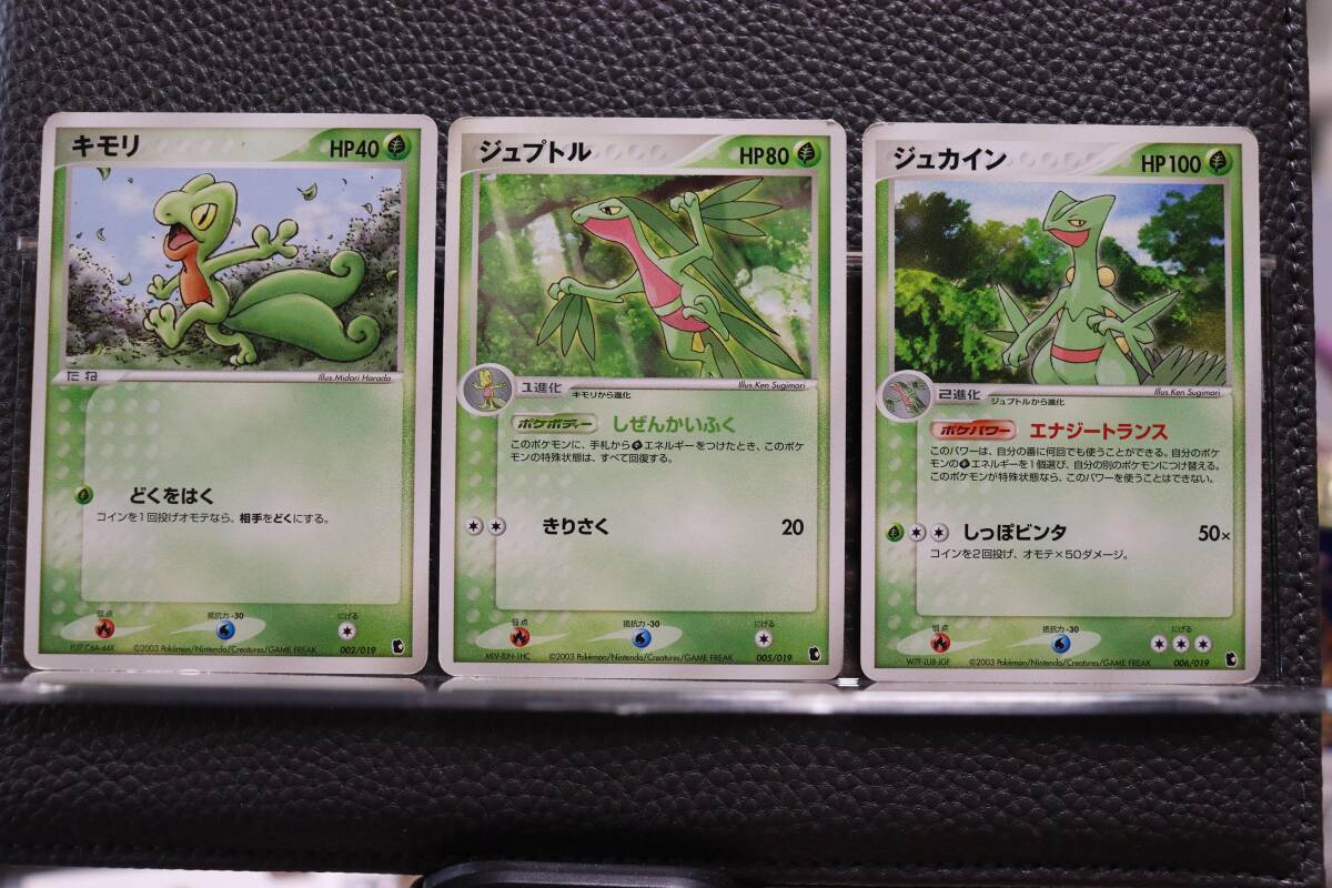 2025年最新】Yahoo!オークション -ジュプトル(ポケモンカード 2025年最新】Yahoo!オークション -ジュプトル(ポケモンカード