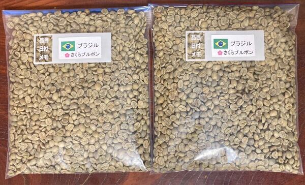 コーヒー生豆 さくらブルボン800g
