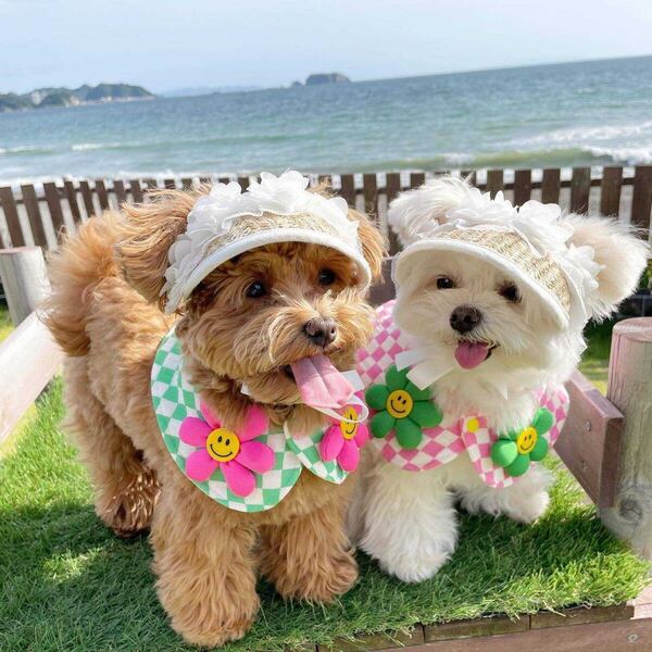 Mサイズ 犬用 サンバイザー 帽子 ホワイト 撮影会 日除 AB0017Y 麦わら ドレスアップ 可愛い 着脱簡単