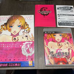 匿名配送 送料無料 キャサリン オフィシャルガイドブック付き DVD付き