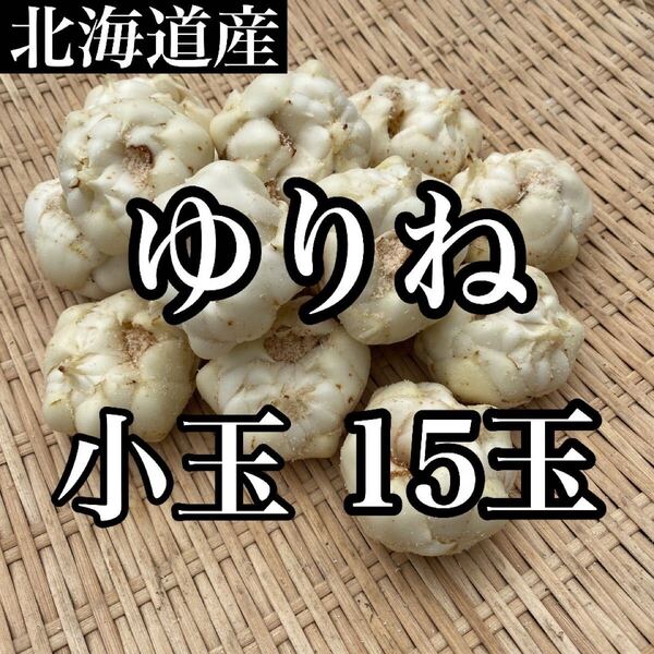 北海道産 ゆりね 15玉前後 箱込み約1キロ入り 送料無料