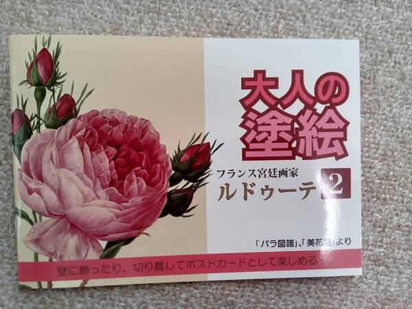 ★最後の1点!早いもの勝ち!ぬりえ ぬり絵【大人の塗り絵 フランス宮廷 洋画 2】花 フラワー バラ 趣味 ホビー 認知症予防 脳トレ