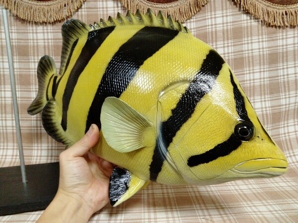 ハンドメイド 48cmダトニオ シャムタイガー フィギュア レプリカ オブジェ 置物 アクアリウム 熱帯魚 fish craft REAL