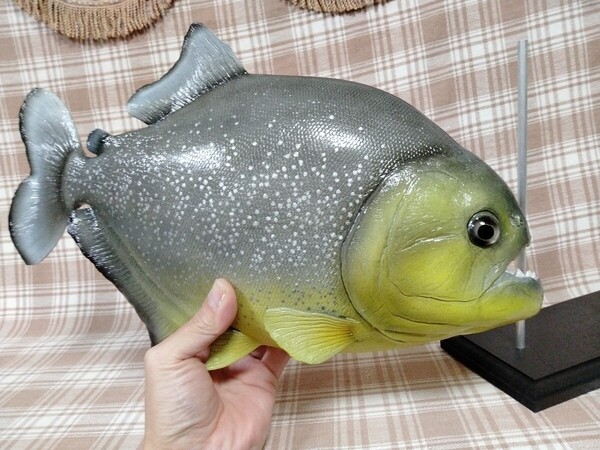 ハンドメイド 38cmイエローピラニア フィギュア レプリカ オブジェ 置物 熱帯魚 アクアリウム 自作 魚模型 fish craft REAL