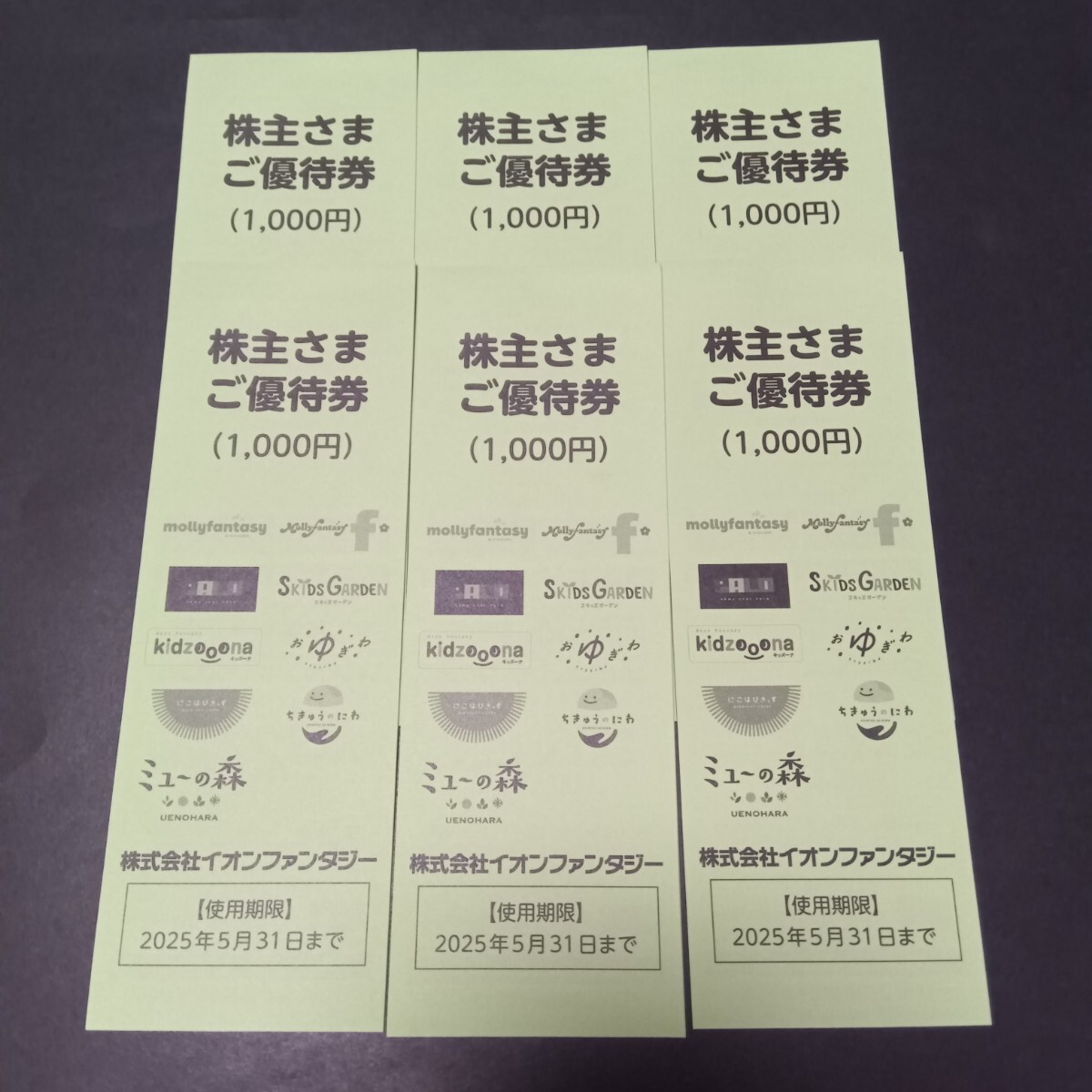 12000円分 イオンファンタジー 株主優待券